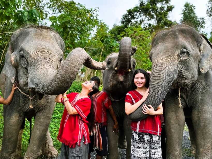 Phuket : Experience feeding and bathing elephants 1.5 Hrs. - Food, drinks, showers, and extra costs
