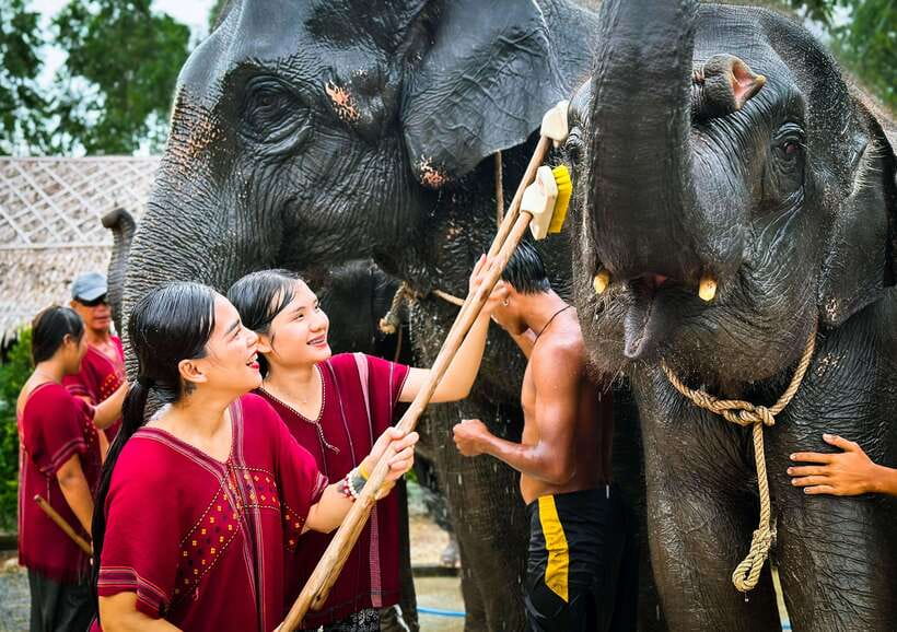 Phuket : Experience feeding and bathing elephants 1.5 Hrs. - What to bring and what to leave behind