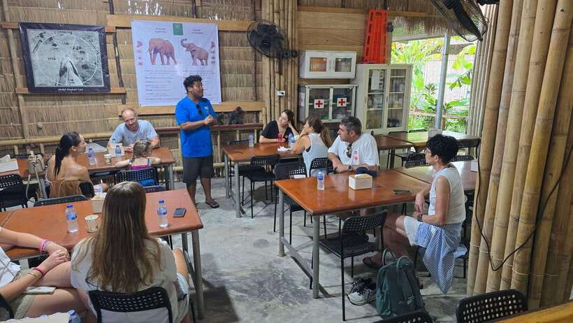 Phuket: Feeding Elephants at Phuket Elephant Care - A Close Look at Phuket Elephant Care