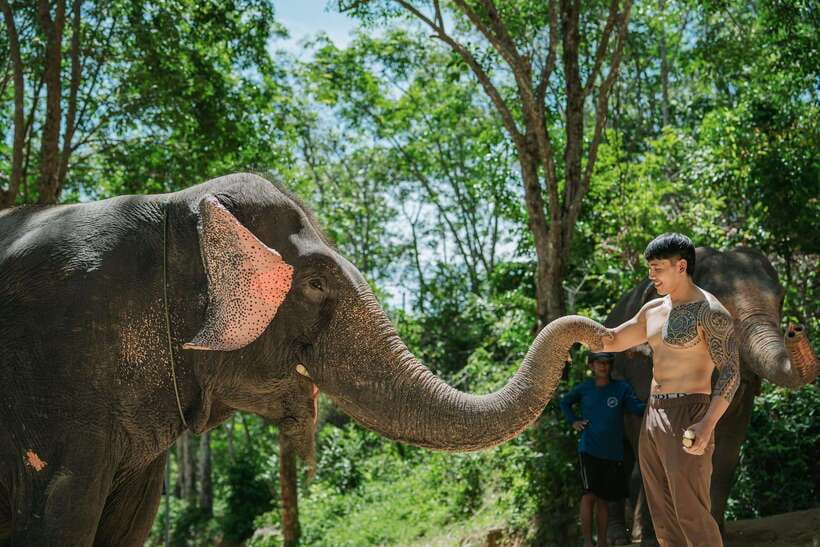 Phuket: Feeding Elephants at Phuket Elephant Care - Painting a Magnetic Elephant to Take Home