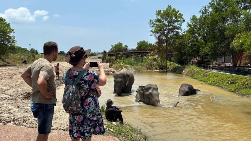 Phuket: Freedom Elephant Reserve - Ethereal Nature Walk - Should you book Freedom Elephant Reserve Phuket?