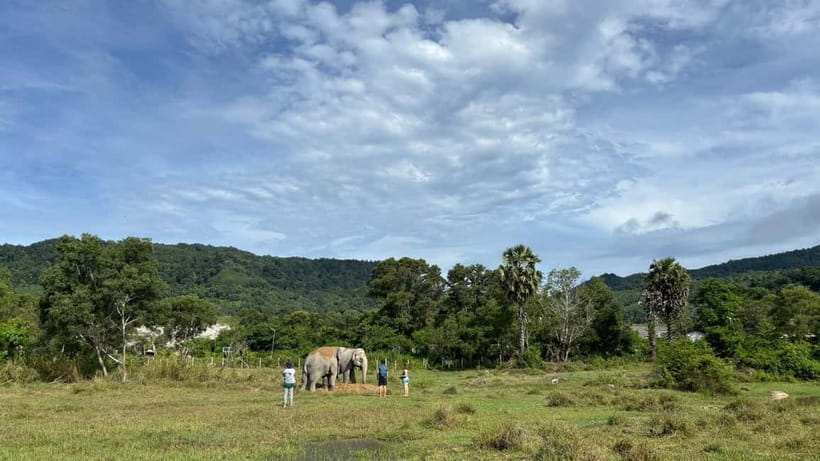 Phuket: Freedom Elephant Reserve - Ethereal Nature Walk - What the 90-minute schedule really feels like