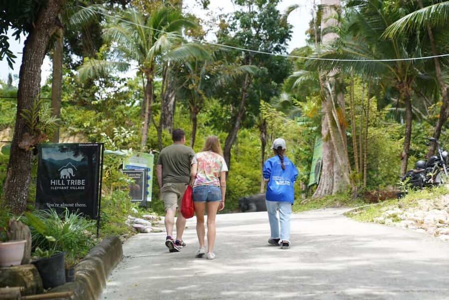 Phuket: Guide Tour to Patong Elephant Sanctuary - Who will enjoy this most?