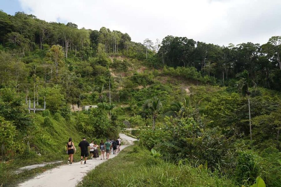 Phuket: Guide Tour to Patong Elephant Sanctuary - How long does this Phuket activity really take?