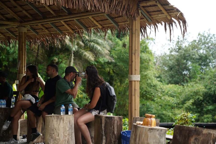 Phuket: Guided Tour to Elephant Sanctuary & Hotel Transfer - Meeting the elephants at Patong Hill Tribe Elephant Village