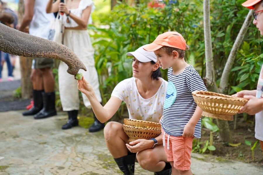 Phuket: Guided Tour to Elephant Sanctuary & Hotel Transfer - How long does the tour really take?