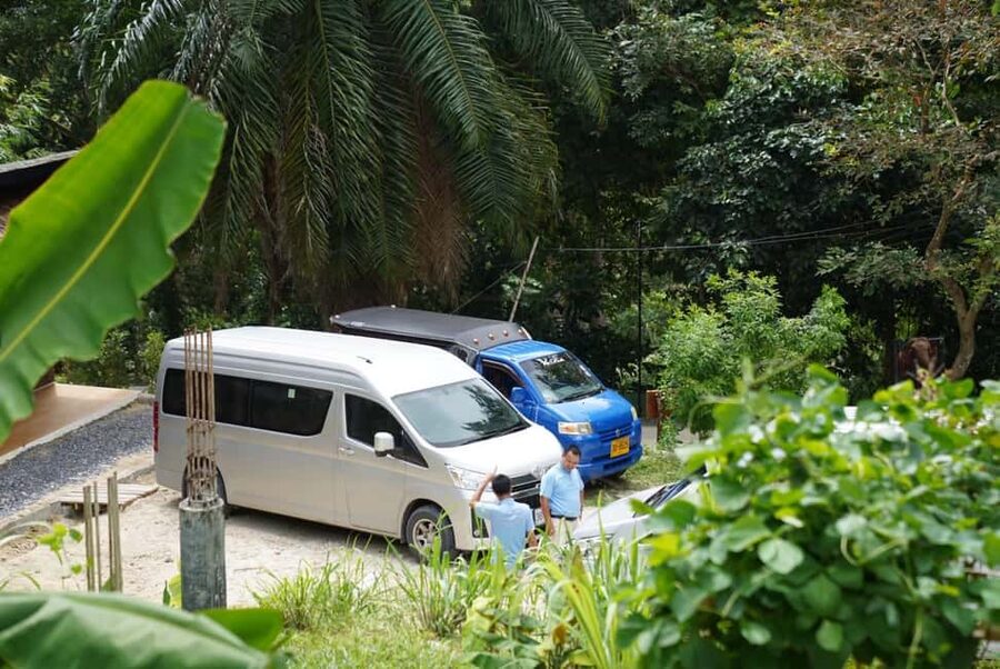 Phuket : Guided Tour to Elephant Sanctuary with Transfers - Meeting rescued elephants in their forest home