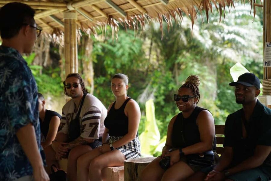 Phuket : Guided Tour to Elephant Sanctuary with Transfers - A quiet walk with the elephants