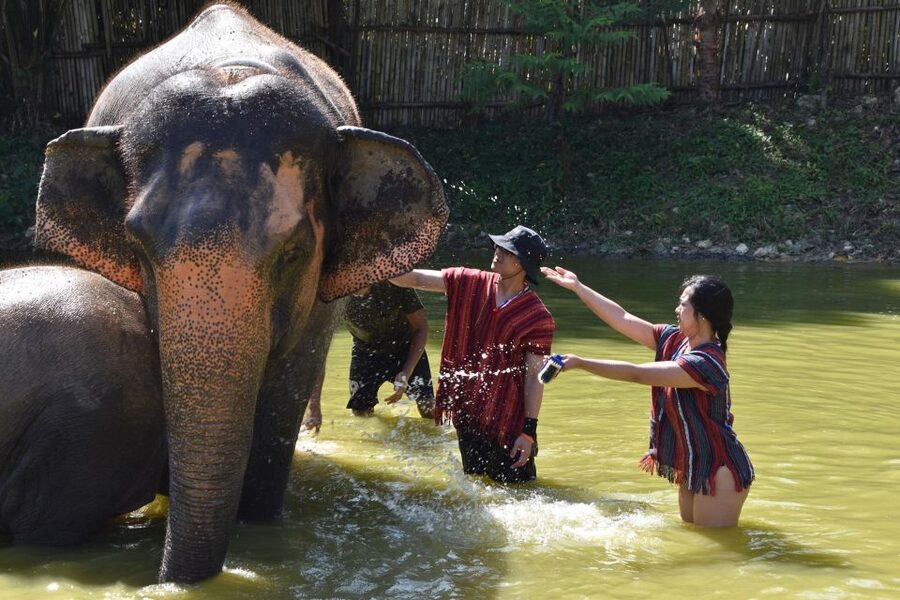 Phuket: Half Day or 2-Hour Ethical Elephant Care Sanctuary - Who should book this experience?