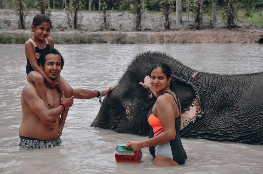 Phuket: Half Day or 2-Hour Ethical Elephant Care Sanctuary - Meeting elephants without riding or shows