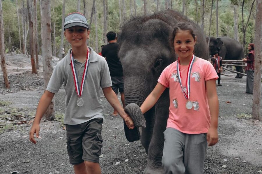 Phuket: Half Day or 2-Hour Ethical Elephant Care Sanctuary - Option B: a shorter feeding visit
