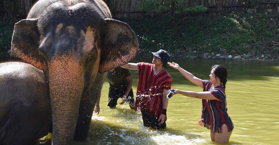 Phuket: Half Day or 2-Hour Ethical Elephant Care Sanctuary - Getting there from Phuket hotels