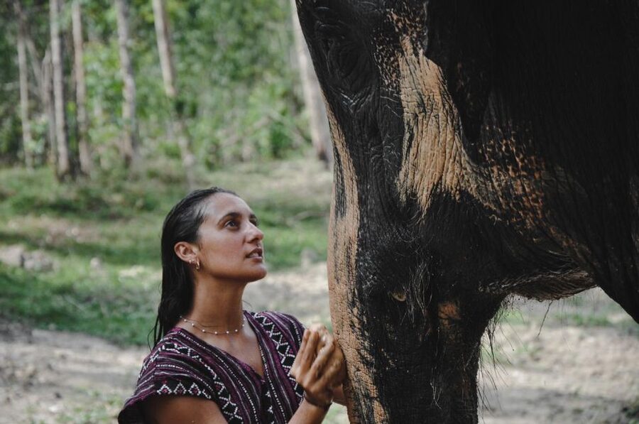 Phuket: Half Day or 2-Hour Ethical Elephant Care Sanctuary - What to bring and what to expect physically