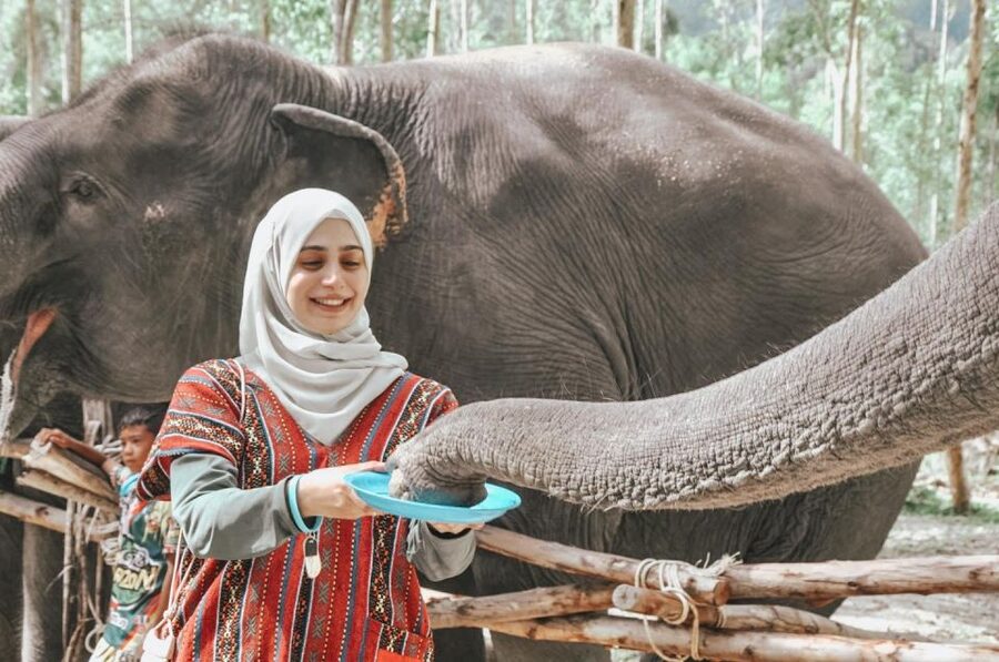 Phuket: Half Day or 2-Hour Ethical Elephant Care Sanctuary - Is the $36 price good value?