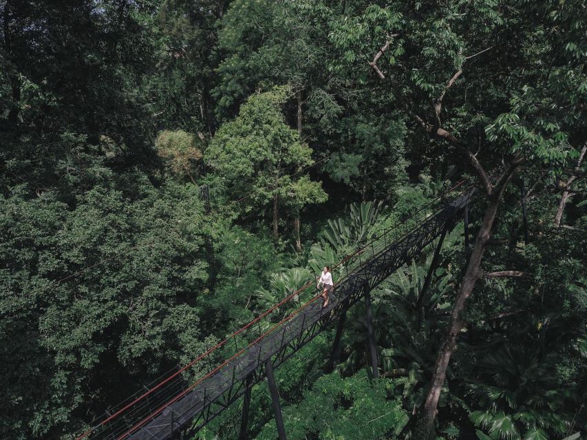Phuket: Hanuman World Zip Line Adventure - High above Phuket’s jungle canopy