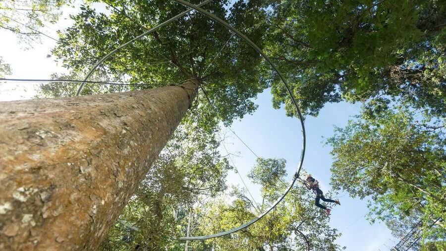Phuket: Hanuman World Zip Line Adventure - Who will enjoy Hanuman World most