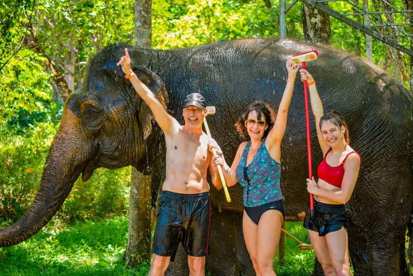 Phuket: Happy Hour Feed and Rain Shower with Elephant - Key points at a glance