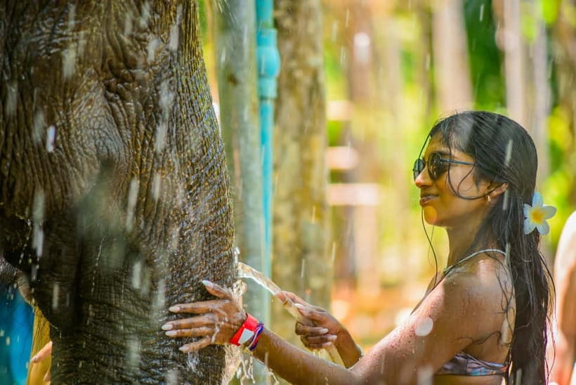 Phuket: Happy Hour Feed and Rain Shower with Elephant - A 2:30 pm Phuket plan