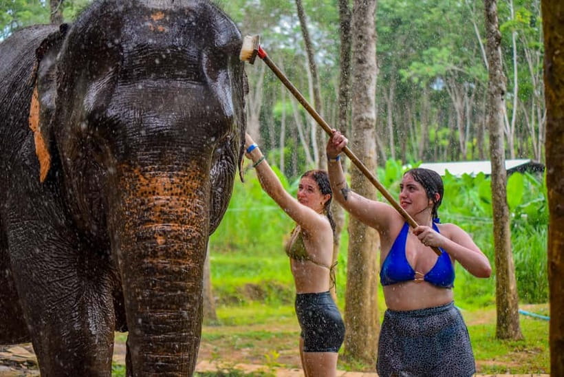 Phuket: Happy Hour Feed and Rain Shower with Elephant - How the experience feels for families and first-time visitors