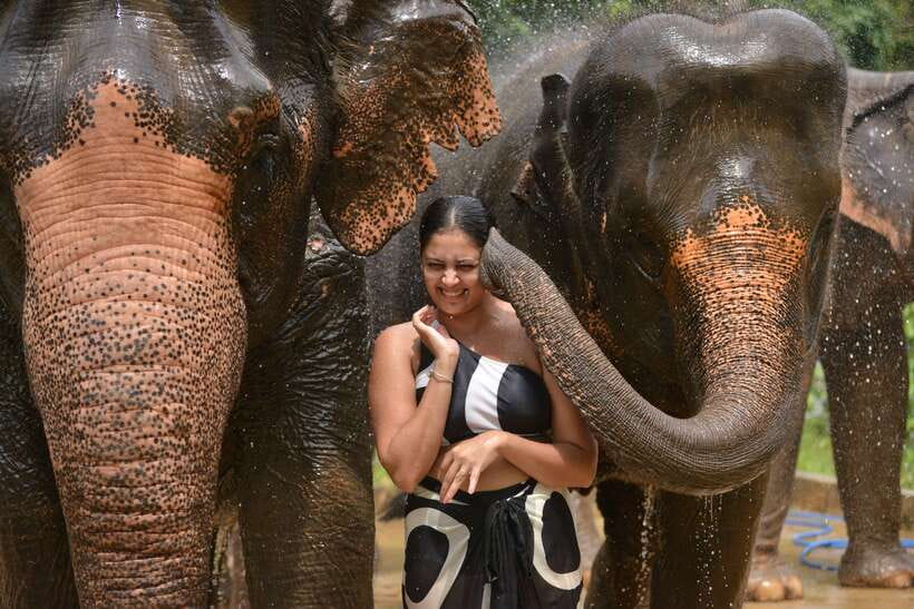 Phuket: Happy Hour Feed and Rain Shower with Elephant - The setting near the beach
