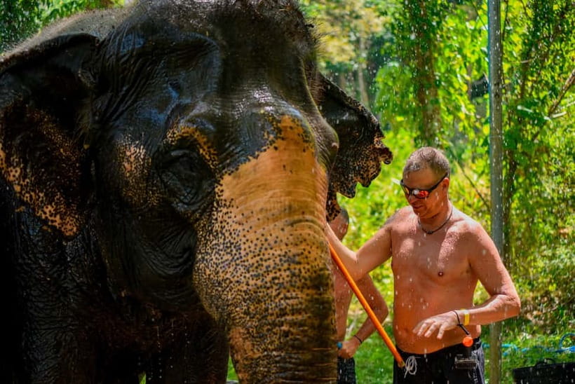 Phuket: Happy Hour Feed and Rain Shower with Elephant - Booking, cancellations, and useful preparation