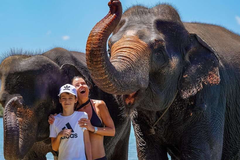 Phuket: Happy Hour Feed and Rain Shower with Elephant - Should you book this elephant experience?