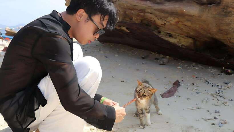 Phuket: Khai Nok, Khai Nai, and Khai Nui Island Day Trip - Khai Nai, the cat island
