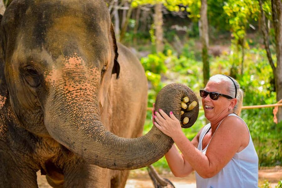 Phuket: Make & Meet The Gentle Giant Experience - What the 2.5-hour visit includes