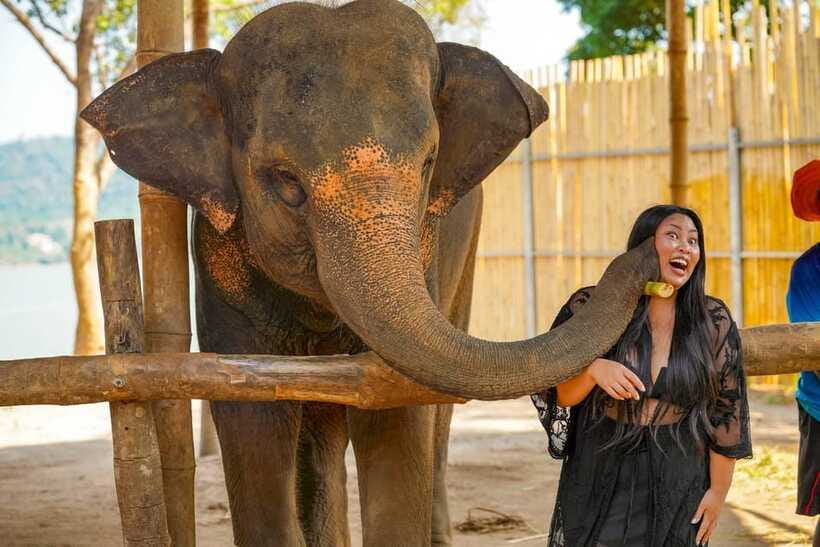 Phuket: Make & Meet The Gentle Giant Experience - What this is not: no ocean bathing