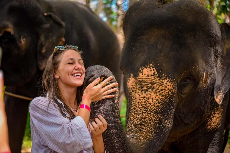 Phuket: Make & Meet The Gentle Giant Experience - The camp setting and the welfare question