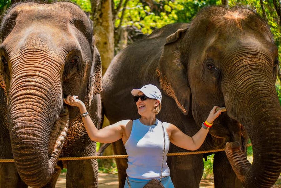 Phuket: Make & Meet The Gentle Giant Experience - Drinks, snacks, and what to bring