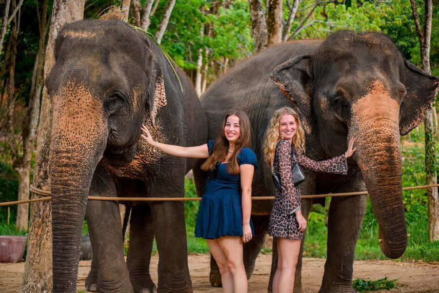 Phuket: Make & Meet The Gentle Giant Experience - Why the vitamin-ball lesson matters