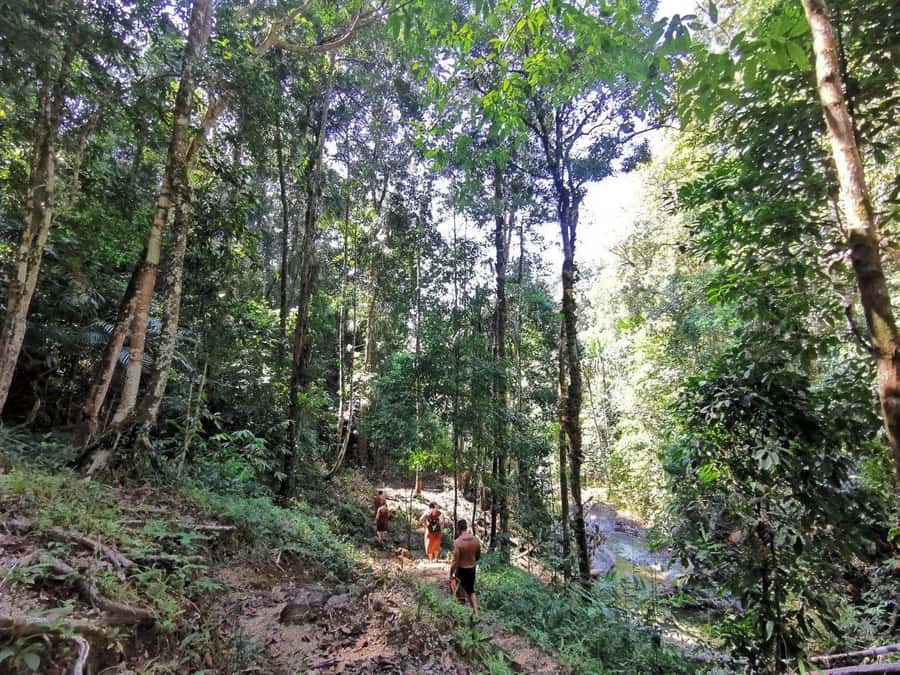 Phuket: Monkey Cave, Water Rafting, Zipline with ATV Option - Choosing the 30-minute ATV option