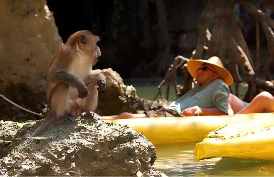 Phuket: Phang Nga,Hong & James Bond Islands by Big Boat - Key details before you book