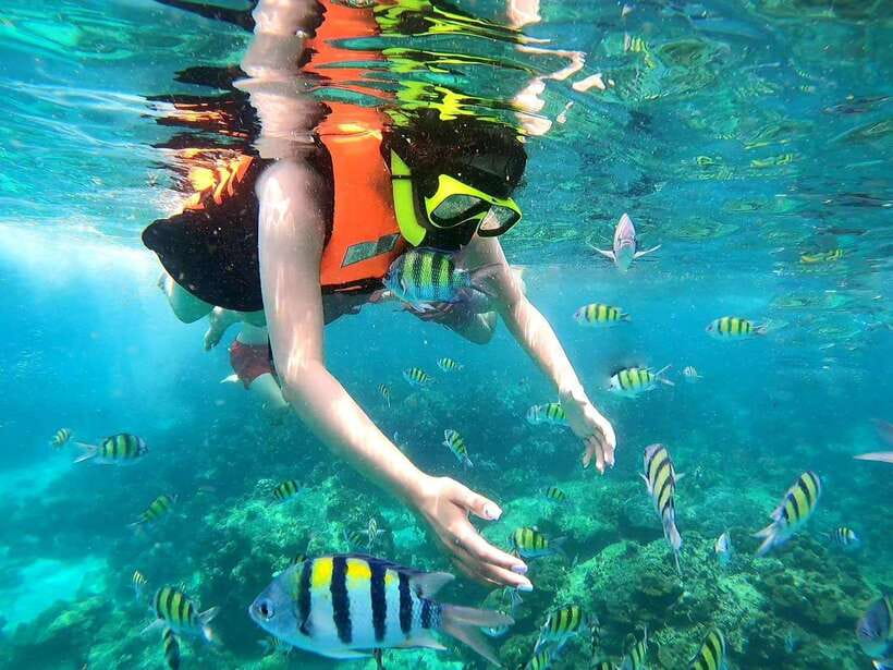Phuket: Phi Phi Islands and Maya Bay Day Trip with Lunch - Viking Cave and Phi Phi Don lunch