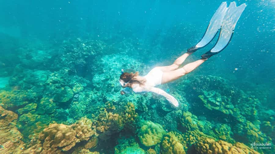 Phuket: Speedboat Day Trip to Phi Phi and Maya Bay - Phi Phi Le, Lo Sama Bay, and Maya Bay