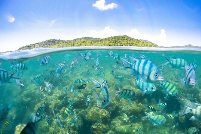 Pig Island Tour by Speedboat with Snorkeling - Weather, safety, and what to pack