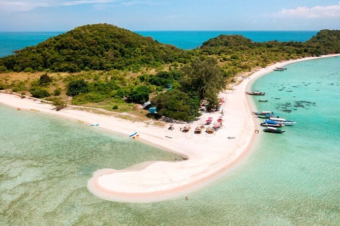 Pig Island Tour by Speedboat with Snorkeling - Koh Madsum, the beach and the pigs