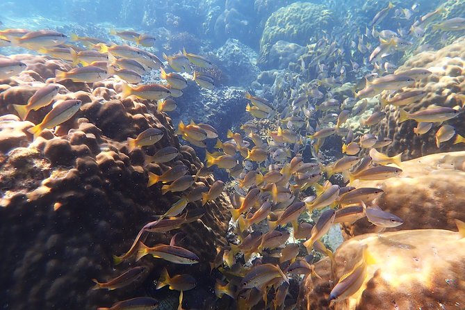 Private Full-Day Red Dragon Yacht to Angthong National Marine Park - What the price means for a private group