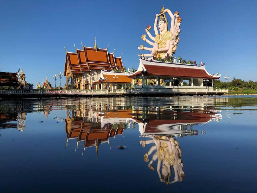Private Group Half-Day City Tour Around Koh Samui - The private van and driver experience