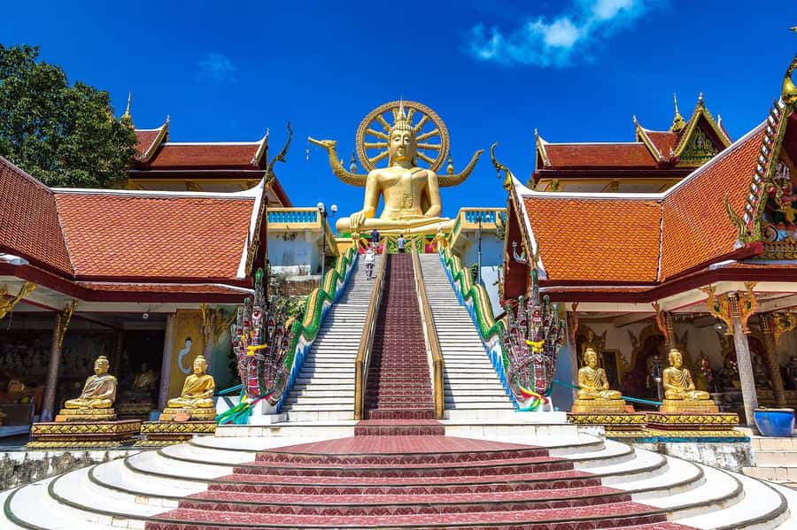 Private Group Half-Day City Tour Around Koh Samui - Starting with Wat Plai Laem