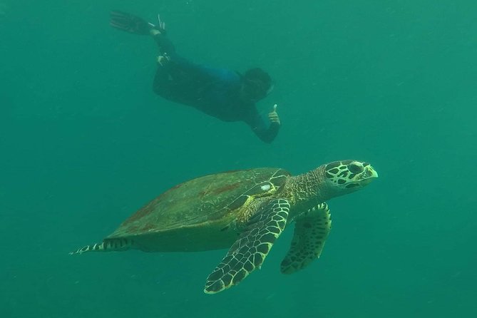 Private Phi Phi & 4 Islands Sunset Cruise by Speedboat - from Krabi - Viking Cave and Ko Bida Nok