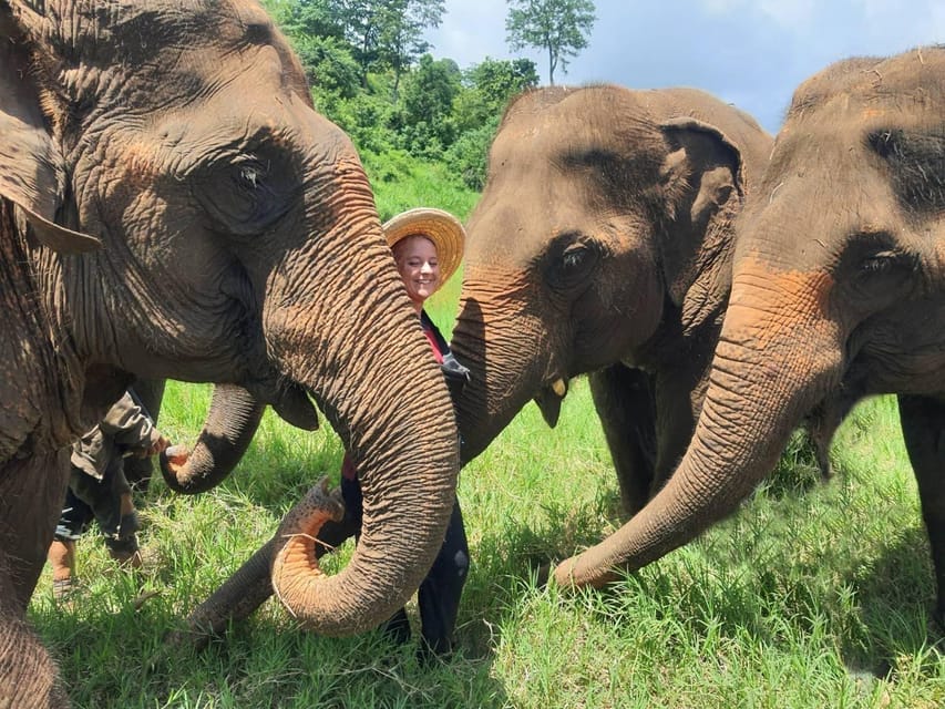 Rantong elephant sanctuary Chiangmai - Booking details that affect your choice