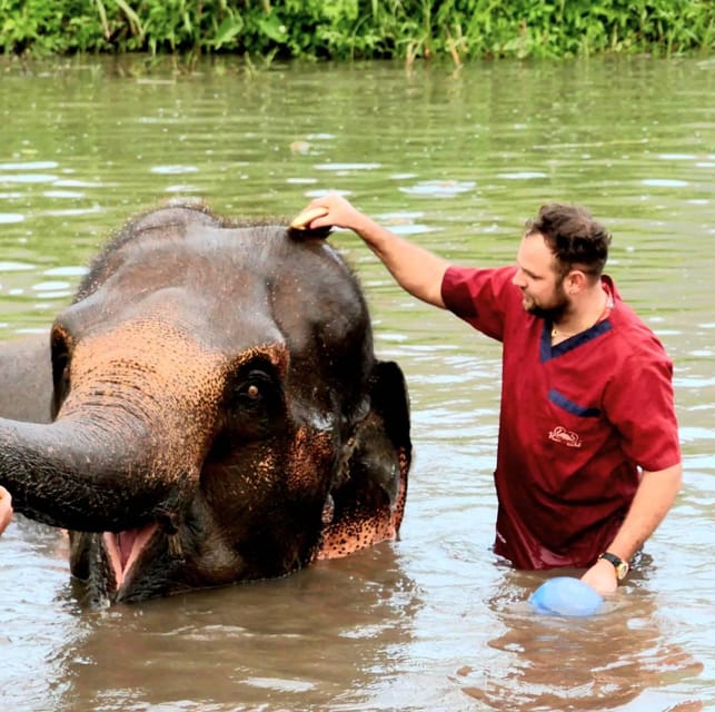 Rantong elephant sanctuary Chiangmai - Meeting rescued elephants outside Chiang Mai