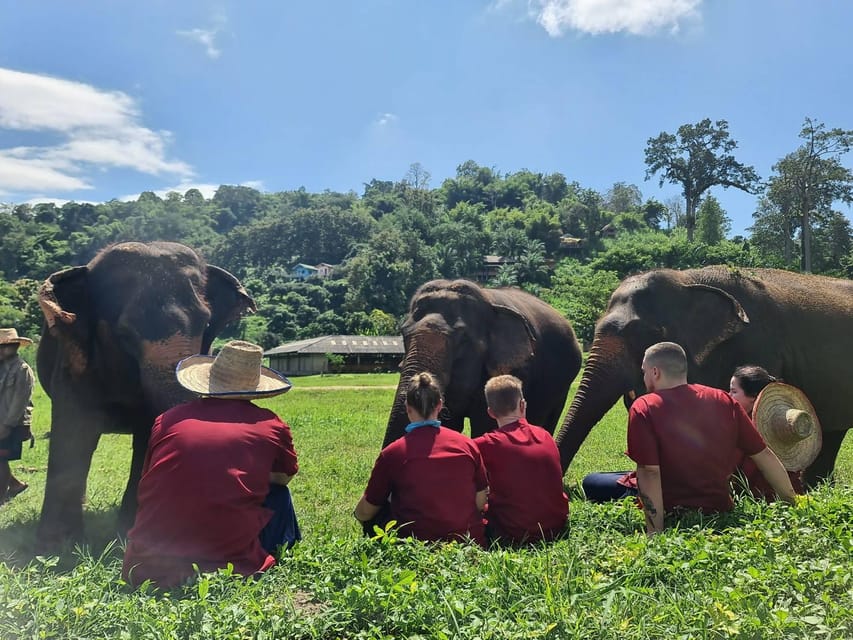 Rantong elephant sanctuary Chiangmai - Bathing, changing, and the ethical question