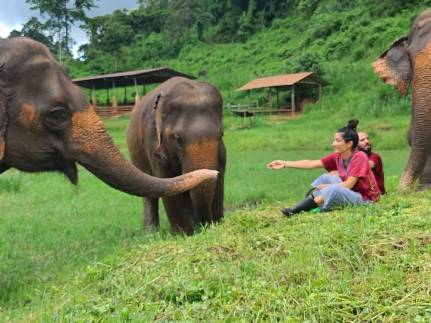 Rantong elephant sanctuary Chiangmai - Is the $57 price good value?
