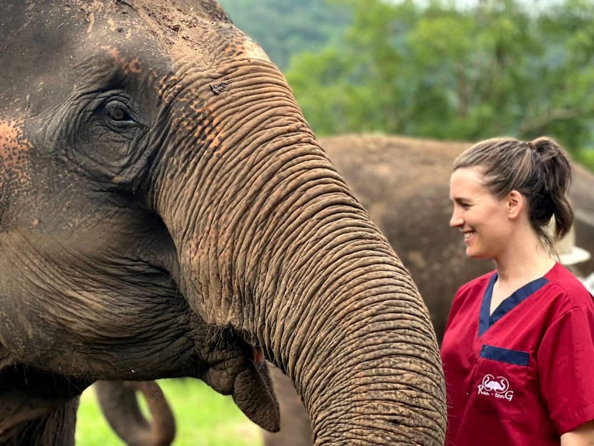 Rantong elephant sanctuary Chiangmai - Who will enjoy Rantong most?