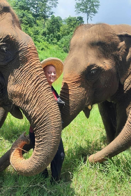 Rantong elephant sanctuary Chiangmai - What the four-hour visit includes