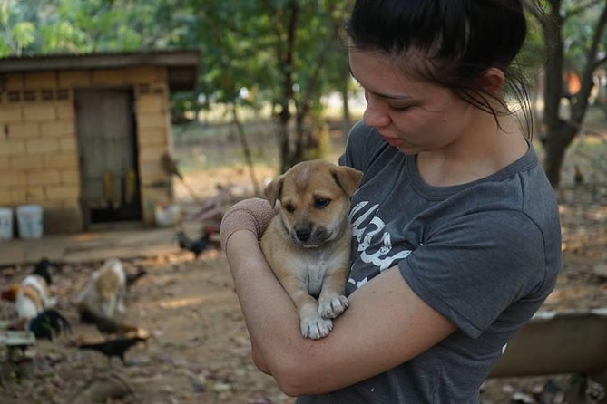 Rescue P.A.W.S. Day Visit - What the schedule changes mean