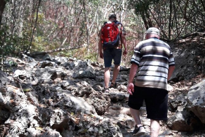 Sam Roi Yod National Park & Praya Nakhon Cave Join Group Tour - Thai lunch near the national park